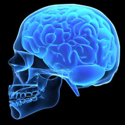 Гидроцефалия - лечение методом шунтирования : Armedical