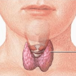 Место лучевой терапии в лечении при раке горла