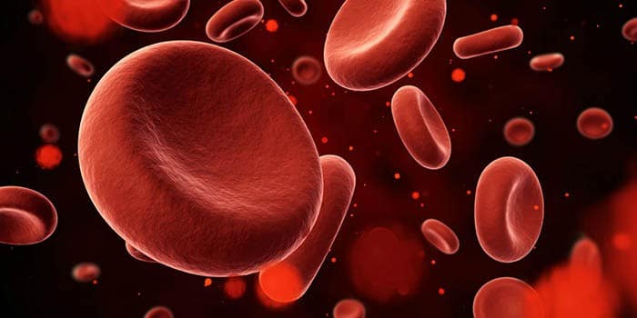 Лечение апластической анемии в Израиле – клиника Ихилов : Armedical